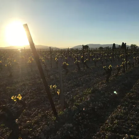 Entre Et Vigne *